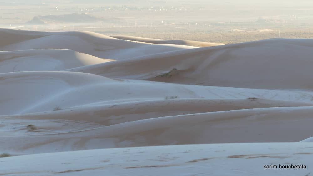 Les dunes d'or sous la neige au sahara algérien 2023 4 409794375 760789766078414 3242738713152829800 n